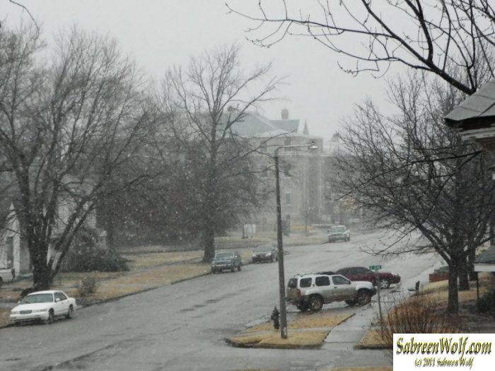 Snow just beginning! {:-)