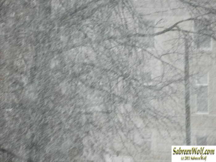 Here's Hoping for 2 Feet! *LOL*