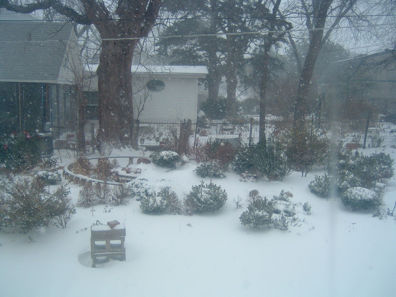 Blizzard 2009